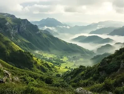 纪录片 分类